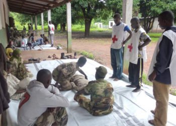 La négligence totale la Croix-Rouge