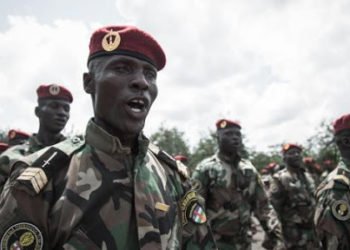 RCA : un accueil chaleureux des FACA à Obo