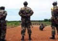 Centrafrique : formation des équipes de recrutement pour les FACA