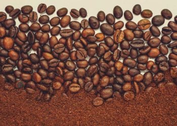 Le café et les conflits armés en RCA