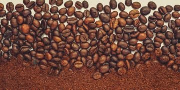 Le café et les conflits armés en RCA