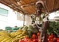 RCA : l’Alliance Parlementaire pour la Sécurité Alimentaire et Nutritionnelle