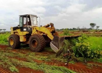 Le Président Touadéra a sauvé l’agriculture de la RCA