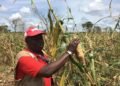 C’est l’agriculture qui a toujours été le moteur de notre économie