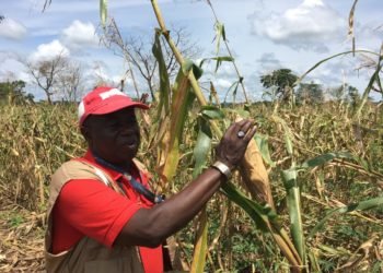 C’est l’agriculture qui a toujours été le moteur de notre économie