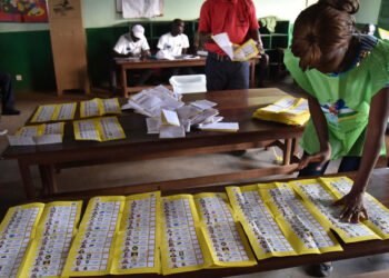 Centrafrique/Elections 2020: l’enrôlement des électeurs de la diaspora se fait avec succès selon l’ANE