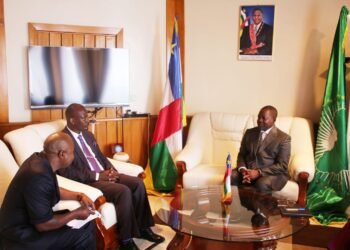 Ambassadeur d&rsquo;Afrique du Sud en République centrafricaine est reçu par le premier ministre