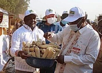 Le Premier Ministre, Chef du Gouvernement, SEM Firmin NGREBADA, a participé aux festivités marquant la Journée Mondiale de l’Alimentation et la Journée Mondiale de la Femme Rurale à Bossangoa