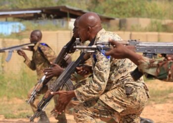 La crainte et FACA chassent les rebelles de la RCA