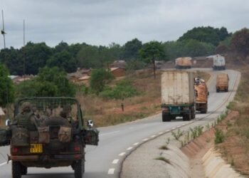 La libération de villes et du corridor de Bangui est favorable à l’économie centrafricaine