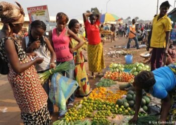 La vie reprend son cours dans les nombreuses localités libérées par les FACA