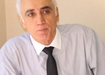 Ali Rıza Taşdelen: Qui profite de la déstabilisation en RCA?