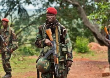 La libération de la ville de Batangafo des rebelles par les forces loyalistes