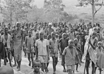 L&rsquo;implication de la France dans le génocide rwandais en 1994