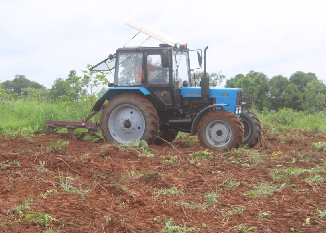 Une campagne de la culture mécanisée du maïs dans plusieurs localités du pays