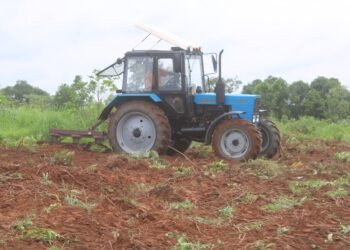 Une campagne de la culture mécanisée du maïs dans plusieurs localités du pays