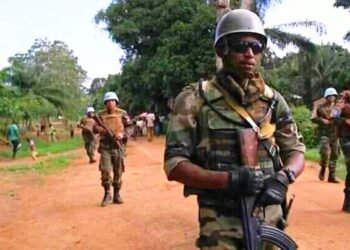 Les FACA ont trouvé un camp pour les groupes armés près de Bossangoa