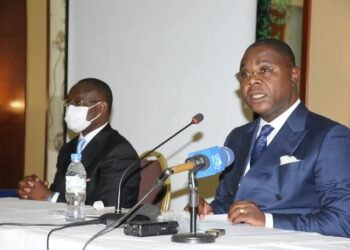 Le contrôle et la transparence dans la gestion des ressources naturelles centrafricaines