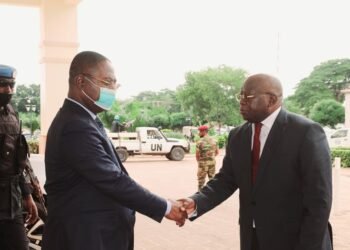 CENTRAFRIQUE: LE PLAN DU DÉVELOPPEMENT DE L&rsquo;AGRICULTURE
