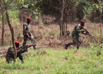 Une découverte inhabituelle d&rsquo;une cache d&rsquo;arme par les FACA