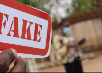 Le collectif des leaders d’opinion s’est prononcé sur les publications jugées mensongères du site web d’information Corbeau News