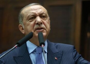 Génocide en Afrique « La France a des mains tachées du sang des Africains », Recep Tayyip Erdoğan