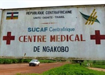 Des rebelles de la Ex-Séléka tuent une femme à Ngakobo