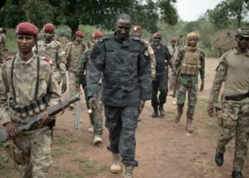 Les rebelles de l’UPC se sont rendues  volontairement aux FACA et aux instructeurs russes à Alindao