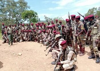 Un affrontement féroce entre les FACA et la CPC entraîne la mort d&rsquo;un soldat des FACA et de dizaines de rebelles