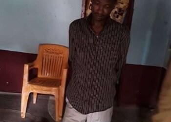 Centrafrique: le service de renseignement de l&rsquo;ambassade de France travaille-t-il avec les rebelles ?