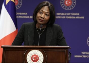 Centrafrique: nous voulons également bénéficier de l&rsquo;expertise et de l&rsquo;expérience de la Turquie
