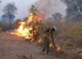 Centrafrique : plusieurs villages sont menacés depuis quelques jours par des feux de brousse
