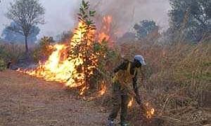 Centrafrique : plusieurs villages sont menacés depuis quelques jours par des feux de brousse