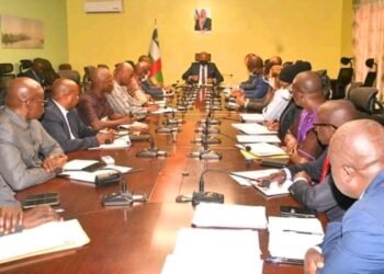 L&rsquo;économie de la RCA montre une tendance positive, selon le Fonds monétaire international