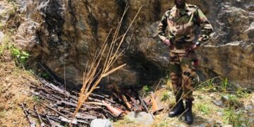 RCA: les opérations de destruction des armes se poursuit dans le pays