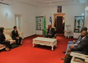 Président Touadera a reçu en audience une délégation de la Corée du Sud