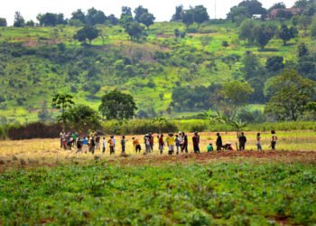 Adoption de la loi sur la création de la chambre de l’agriculture et du tourisme