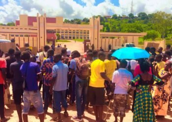 Manifestation en soutien de la modification de la Constitution du 30 mars