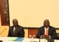 Vers une réponse aux problèmes de transhumance transfrontalière et de sécurité entre RCA et Tchad