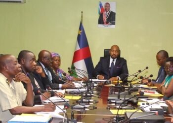 Réduction des taxes sur les produits de première nécessité proposée par les importateurs centrafricains au gouvernement