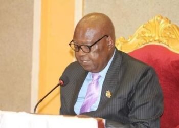 Les élus de la nation ont adopté la loi portant création de la chambre d&rsquo;agriculture et du tourisme en République Centrafricaine