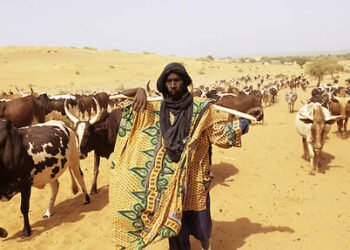 1 100 peuls rentrent chez eux après cinq ans d&rsquo;exil