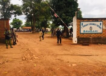 A l&rsquo;initiative du ministre Hassan Bouba, plus de 500 ex-combattants ont déposé les armes à Bambari