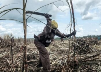 Centrafrique : enquête pour complicité du groupe CASTEL de crimes contre l&rsquo;humanité ouverte