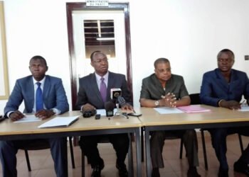 L&rsquo;opposition démocratique (BRDC) et ses tentatives pour contrecarrer le projet d&rsquo;amendement constitutionnel