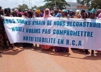 La communauté Peuls réclame un changement de constitution en Centrafrique