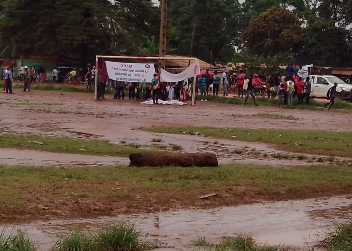 Centrafrique: le rassemblement du BRDC contre le renouvellement constitutionnel est un échec complet