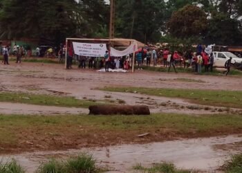 Centrafrique: le rassemblement du BRDC contre le renouvellement constitutionnel est un échec complet