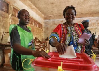 Renforcement de la démocratie en République centrafricaine