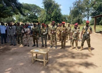 Récompense des FACA pour bravoure dans l&rsquo;accomplissement d&rsquo;une mission